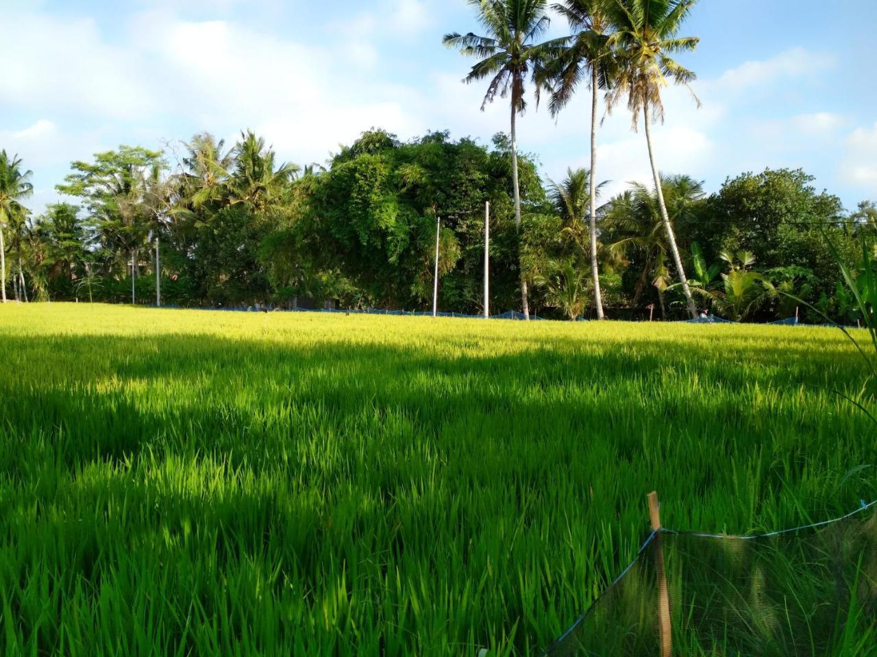 Uma Loka Villa By Shm อูบุด ภายนอก รูปภาพ