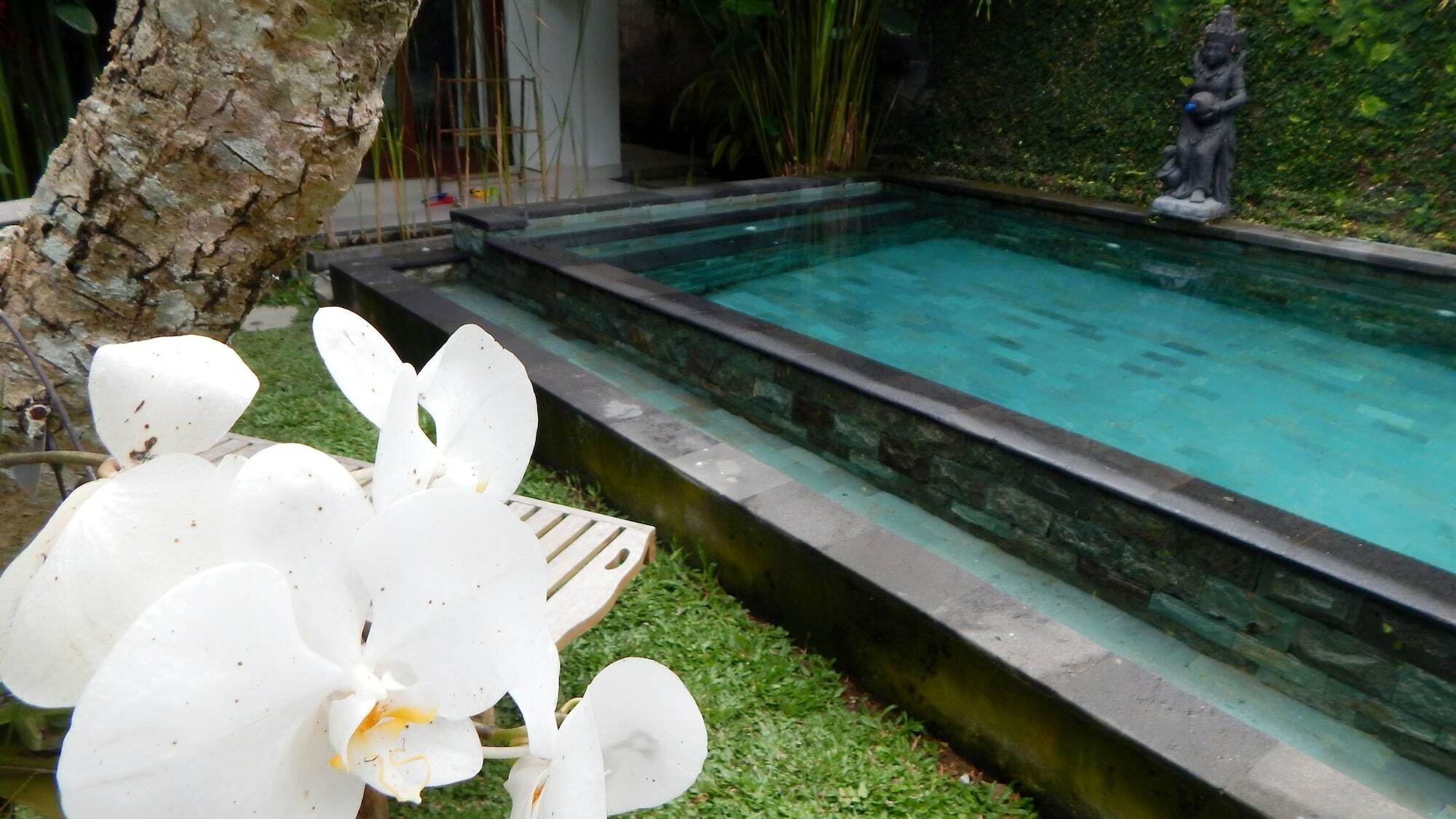 Uma Loka Villa By Shm อูบุด ภายนอก รูปภาพ